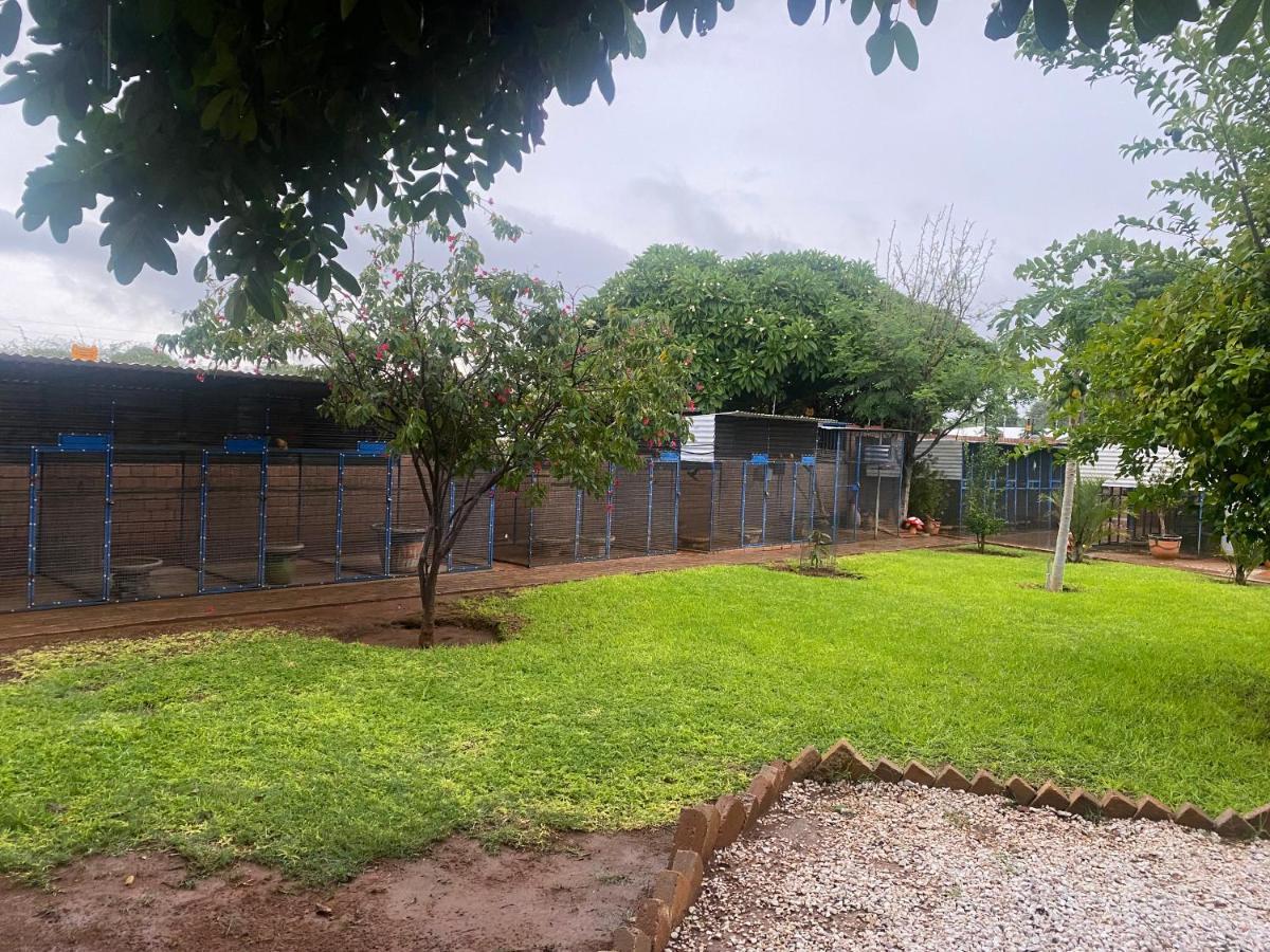 El-Kole Bed And Breakfast Tsumeb Zewnętrze zdjęcie